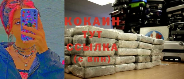 мет Елизово